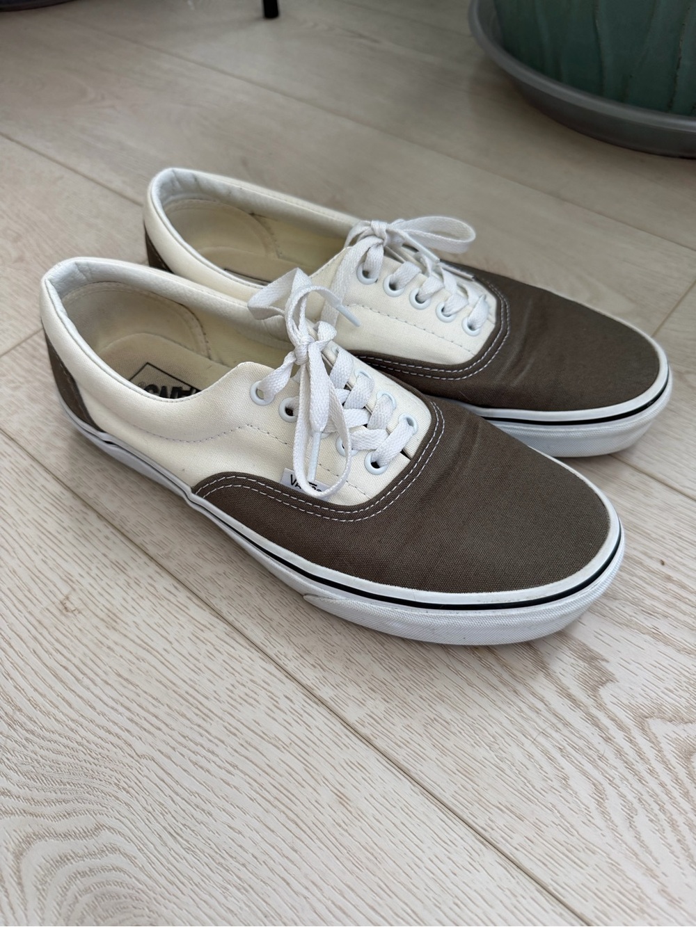 Vans shoes